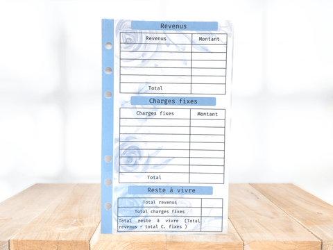 fiche-budget-mensuel-fleursbleues-2