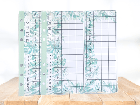 Lot tracker suivi budget annuel Jungle