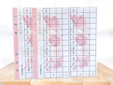 Lot tracker suivi budget annuel Rouge